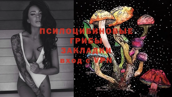 Альфа ПВП Белокуриха