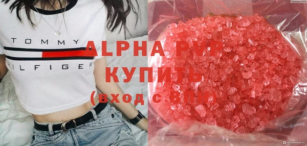 Альфа ПВП Белокуриха