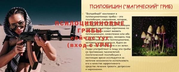 Альфа ПВП Белокуриха